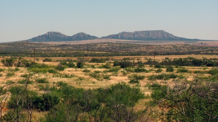 Texas Hunting 