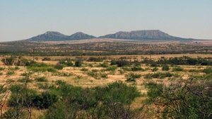 Texas Hunting